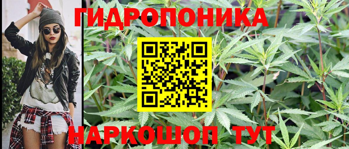 Шишки марихуана семена  Канабис конопля  Вход с VPN  Канабис тримм  Артёмовский 